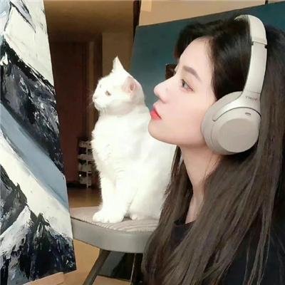 美的世界